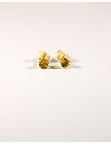 Puces d'oreilles Citrine des créatures d'habitude